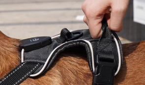 Arnés de Pecho con GPS y Luz LED para Perros - Image 8