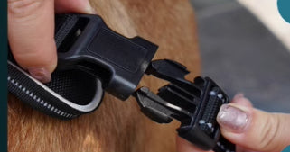Arnés de Pecho con GPS y Luz LED para Perros - Image 9