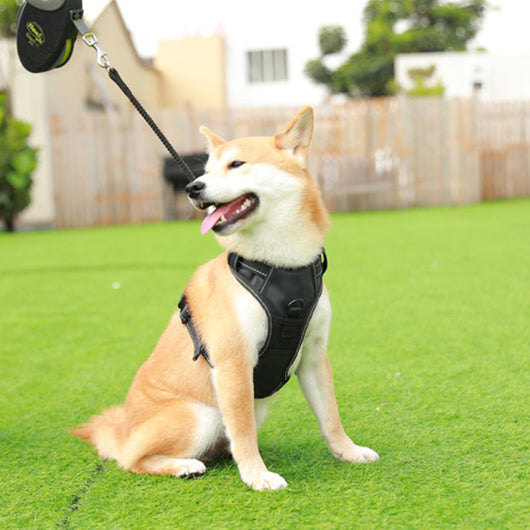 Arnés de Pecho con GPS y Luz LED para Perros - Image 10