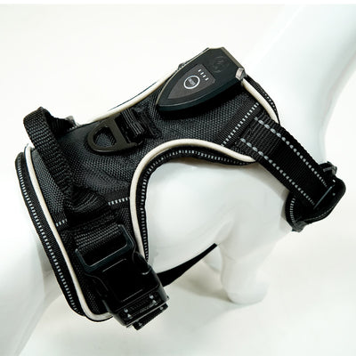 Arnés de Pecho con GPS y Luz LED para Perros - Image 12