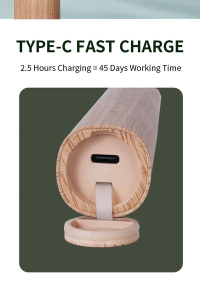 Cepillo de Dientes Eléctrico Recargable USB con Bambú Ecológico - Image 14