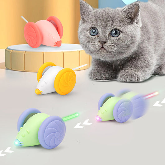 Green and purple mouse pet toy with wheels, USB rechargeable and luminous, shown with a white charging cable. - Image 9