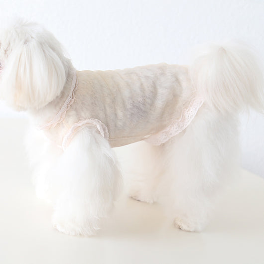 Chaleco de Encaje Antiestático para Mascotas - Ropa Elegante para Perros y Gatos - Image 34