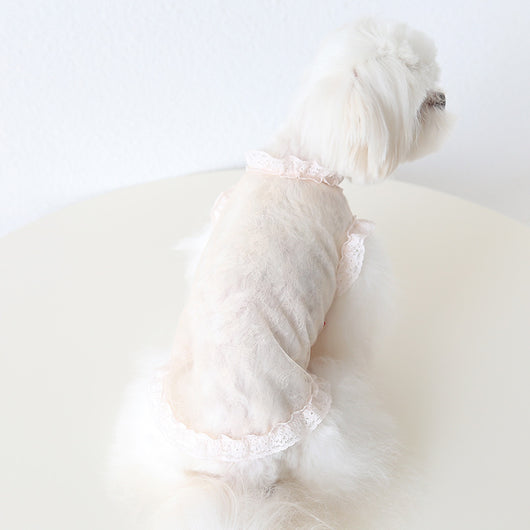 Chaleco de Encaje Antiestático para Mascotas - Ropa Elegante para Perros y Gatos - Image 41