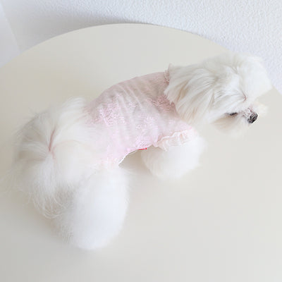 Chaleco de Encaje Antiestático para Mascotas - Ropa Elegante para Perros y Gatos - Image 43