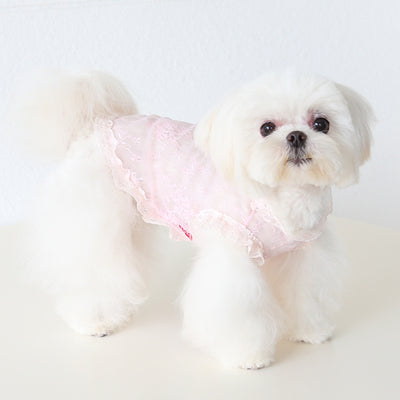 Chaleco de Encaje Antiestático para Mascotas - Ropa Elegante para Perros y Gatos - Image 45