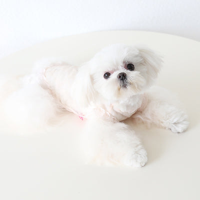 Chaleco de Encaje Antiestático para Mascotas - Ropa Elegante para Perros y Gatos - Image 51