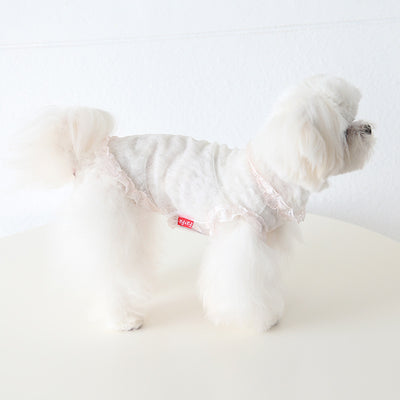 Chaleco de Encaje Antiestático para Mascotas - Ropa Elegante para Perros y Gatos - Image 55