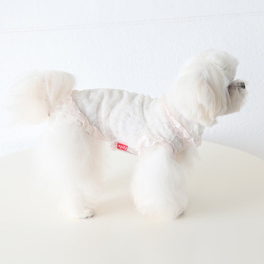 Chaleco de Encaje Antiestático para Mascotas - Ropa Elegante para Perros y Gatos - Image 55