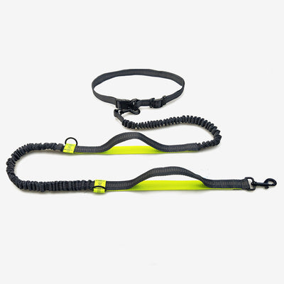 Correa Extensible Reflectante Doble para Perros con Telescopio de Seguridad - Image 20