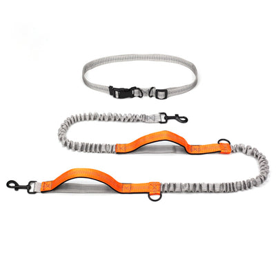 Correa Extensible Reflectante Doble para Perros con Telescopio de Seguridad - Image 27