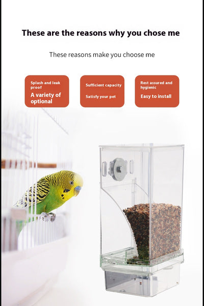 Comedero Automático para Aves con Depósito Transparente - Image 14