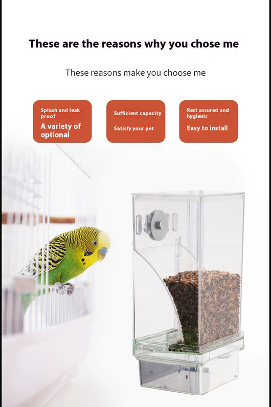 Comedero Automático para Aves con Depósito Transparente - Image 14