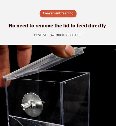 Comedero Automático para Aves con Depósito Transparente - Image 17