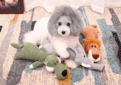Juguetes de Peluche Resistentes para Perros - Mordederas Seguras - Image 10