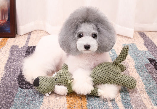 Juguetes de Peluche Resistentes para Perros - Mordederas Seguras - Image 12
