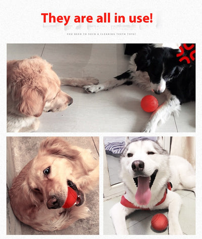 Orange rubber pet toy ball with textured surface and grooved lines, 5cm diameter, suitable for small dogs. - Image 28