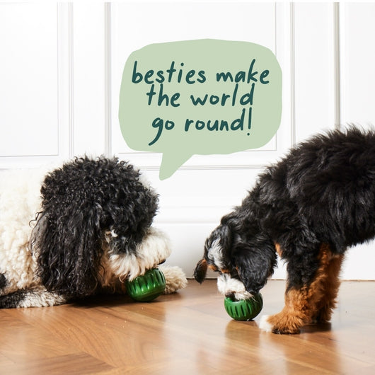Green silicone treat-dispensing dog toy and yellow silicone slow feeder mat with four round compartments. - Image 14