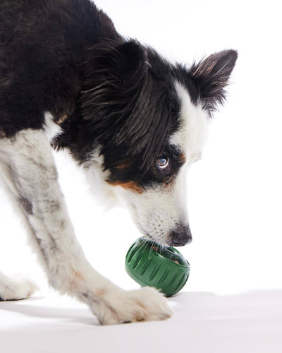 Green silicone treat-dispensing dog toy and yellow silicone slow feeder mat with four round compartments. - Image 15