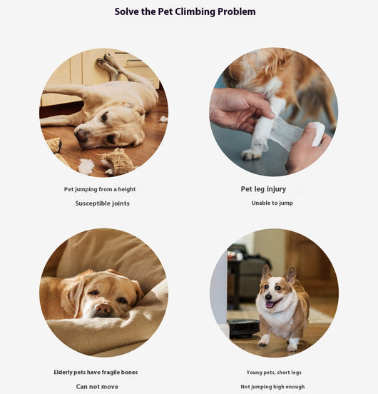 Escaleras para Perros con Cama Integrada - Rampas Cómodas para Mascotas - Image 11