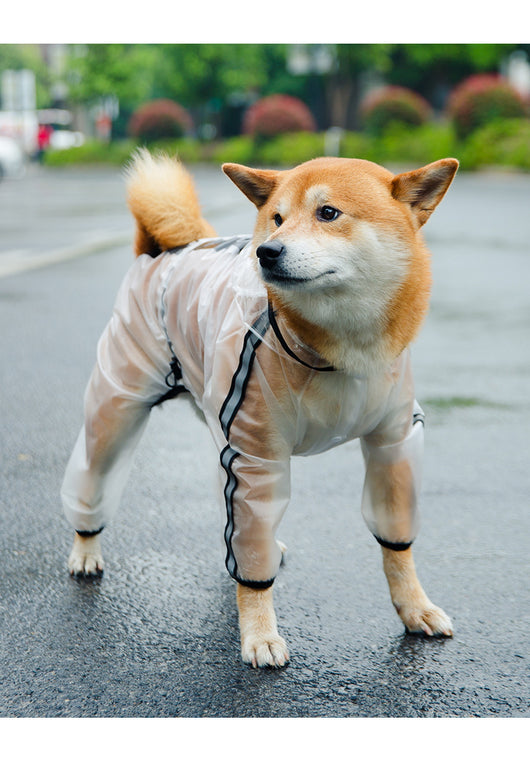 Impermeable para Perros Completo de Cuatro Patas - Image 9