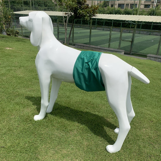 Cinturón Fisiológico Pañal Especial para Mascotas - Image 10