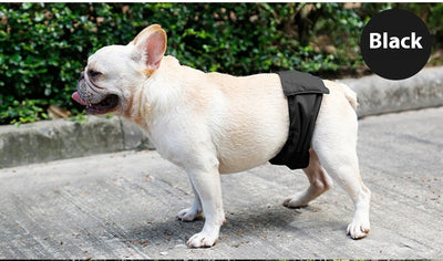 Cinturón Fisiológico Pañal Especial para Mascotas - Image 12