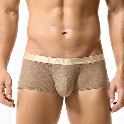 Bóxers para Hombre de Malla Sexy Cintura Baja y Diseño U Convexo - Image 39