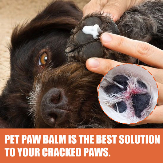 Crema Regeneradora para Almohadillas y Uñas de Mascotas - Image 13