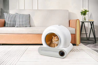 Arenero Automático Inteligente para Gatos con Tecnología de Limpieza Automática - Image 20