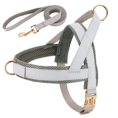 Arnés y Correa Personalizados para Perro - Image 16