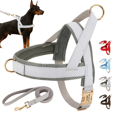 Arnés y Correa Personalizados para Perro - Image 19