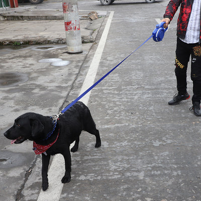 Red, black, and blue retractable dog leashes with integrated collapsible water bowls, plus a blue pet rope toy with suction cup. - Image 11