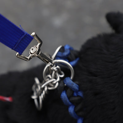 Red, black, and blue retractable dog leashes with integrated collapsible water bowls, plus a blue pet rope toy with suction cup. - Image 12