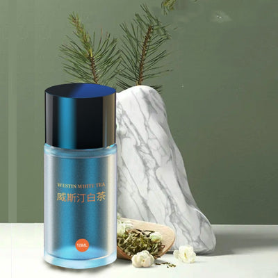 Difusor de Aroma para Auto - Repuesto de Fragancia de Larga Duración - Image 11