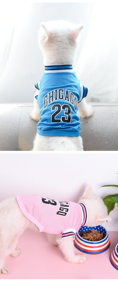 Chaleco Deportivo de Malla para Perros Talla Grande - Ropa Fresca para Verano - Image 26