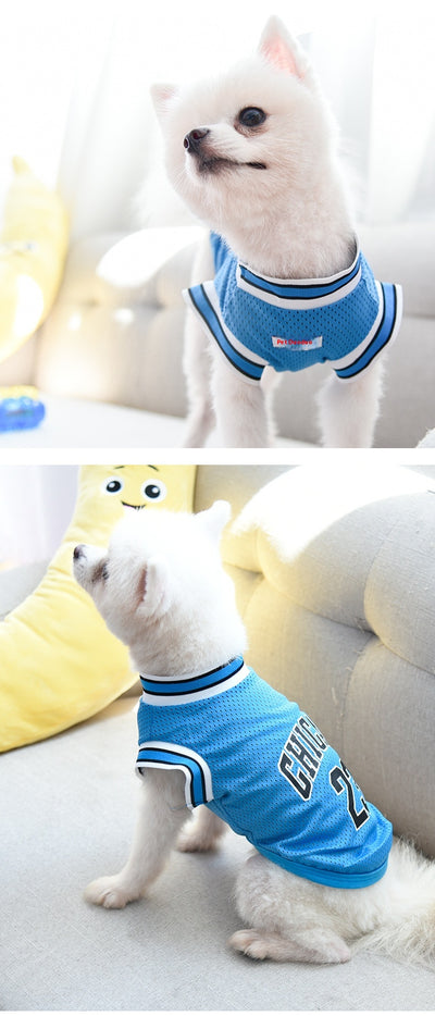 Chaleco Deportivo de Malla para Perros Talla Grande - Ropa Fresca para Verano - Image 27