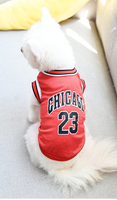 Chaleco Deportivo de Malla para Perros Talla Grande - Ropa Fresca para Verano - Image 28