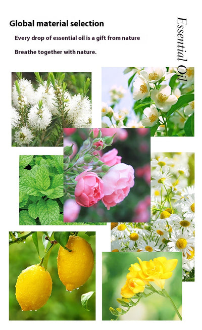 Difusor de Aroma con Aceite Esencial de Naranja Dulce y Lavanda 10ml - Image 22