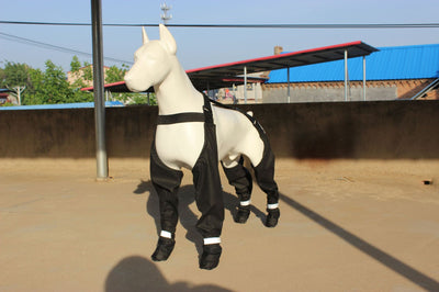 Botines Impermeables para Mascotas con Cinturón Elástico y Reflectivos - Image 19
