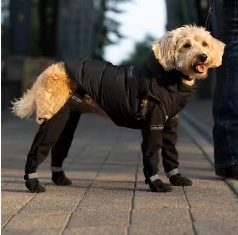 Botines Impermeables para Mascotas con Cinturón Elástico y Reflectivos - Image 21