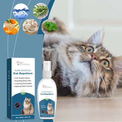 Spray Repelente de Insectos para Mascotas - Protege a Gatos de Plagas - Image 14