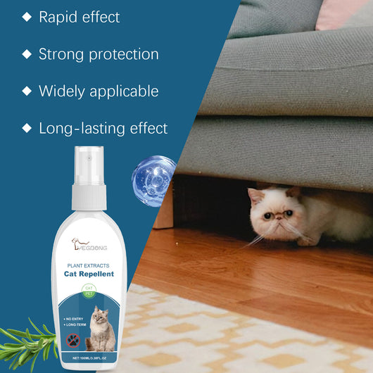 Spray Repelente de Insectos para Mascotas - Protege a Gatos de Plagas - Image 15