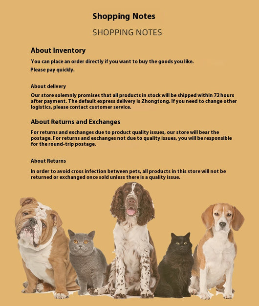 Botines Protectores para Mascotas Pequeñas y Medianas - Zapatos Impermeables Antisuciedad - Image 17