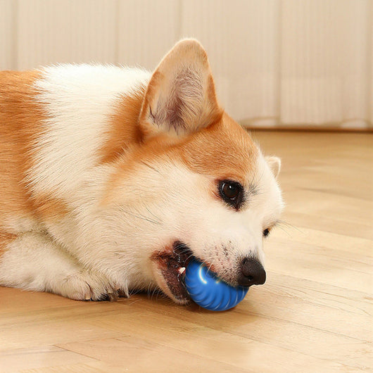Blue gravitational jumping pet ball with a power button, shown next to an orange replacement shell for the toy. - Image 25