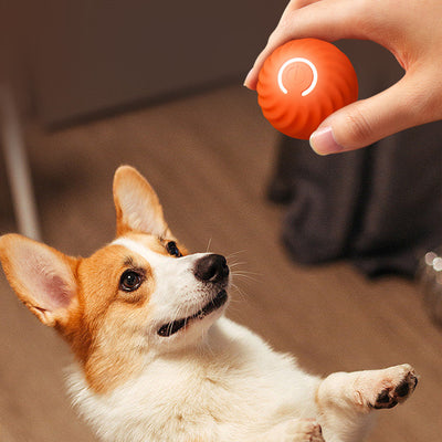 Blue gravitational jumping pet ball with a power button, shown next to an orange replacement shell for the toy. - Image 27