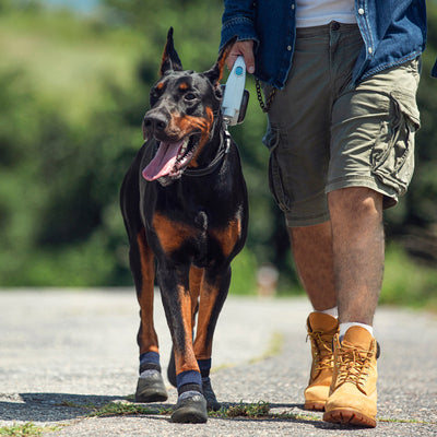 Zapatillas Deportivas Outdoor para Mascotas con Suela Antideslizante Biomimética - Image 14