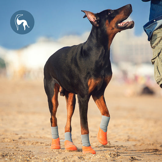 Zapatillas Deportivas Outdoor para Mascotas con Suela Antideslizante Biomimética - Image 15