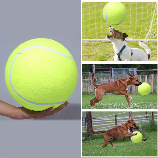 Large 8.5 inch (21.5 cm) yellow tennis ball, ideal for pet play or dog training. - Image 26