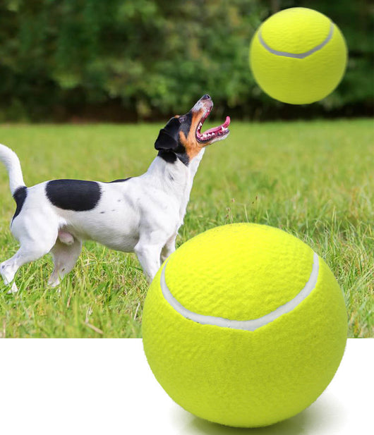 Large 8.5 inch (21.5 cm) yellow tennis ball, ideal for pet play or dog training. - Image 27